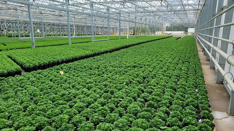 Photo by Chris Markham