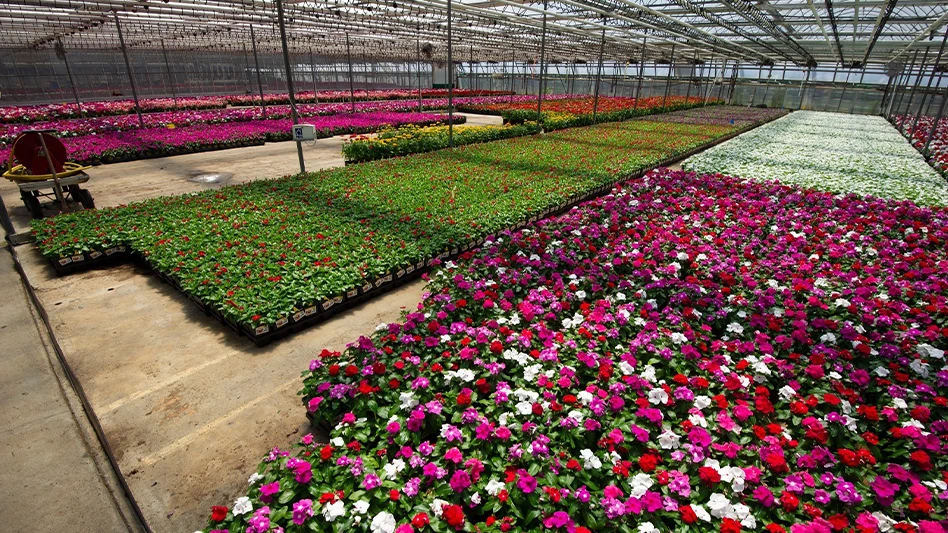 Photo courtesy of Certis Biologicals 