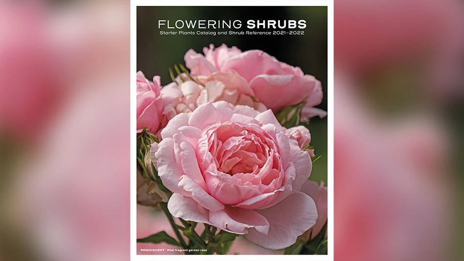 Photo courtesy of Spring Meadow Nursery