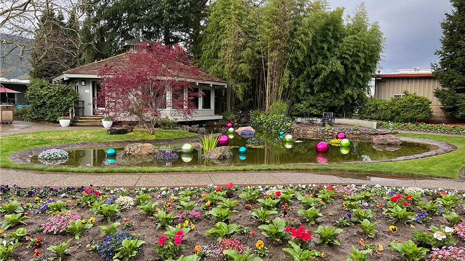 The front garden of a house, with plants, flowers and a pond.