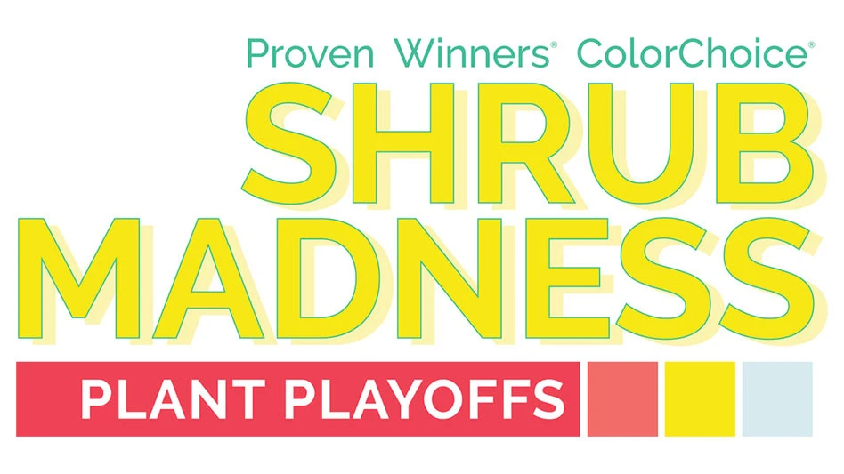 Photo courtesy of Proven Winners ColorChoice