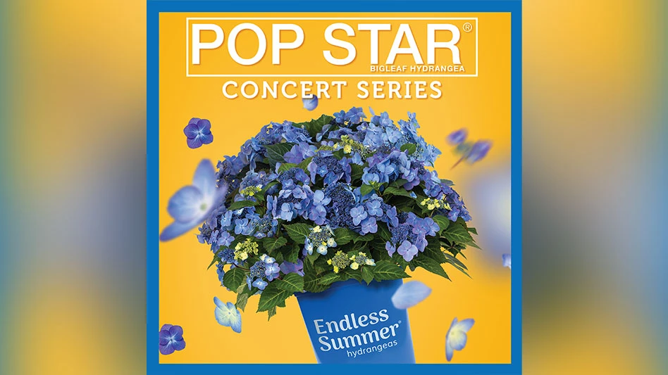 The Pop Star Concert Series kicks off in Chicago, May 20.