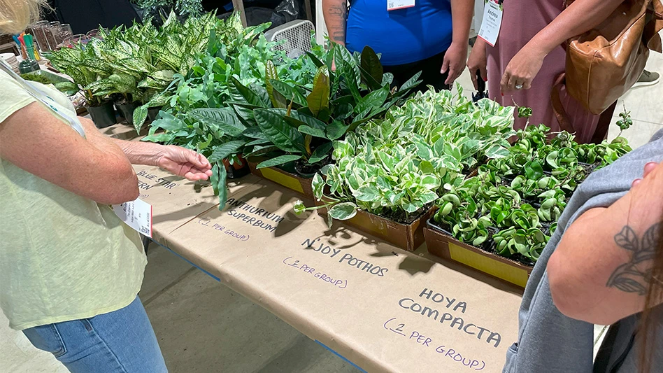 Green plants sit in a table covered in brown paper, with people standing around looking at them.