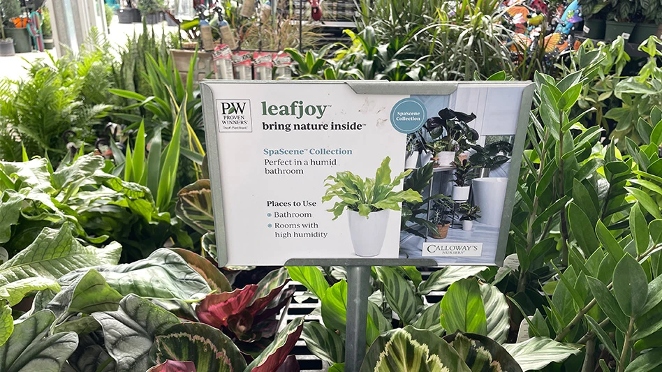 Fessler Nursery partners with The Plant Company to distribute leafjoy