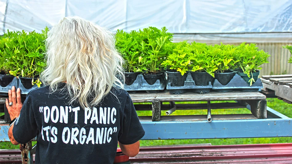 Woman working in greenhouse