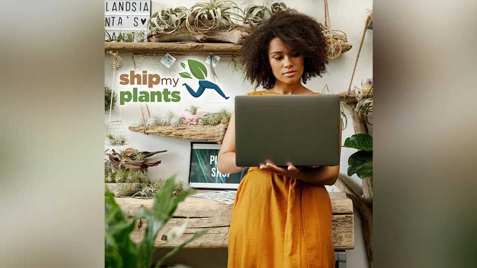 A woman in a yellow dress holds a laptop and leans on a bench/desk with another laptop, with plants all around. A logo reads ship my plants in brown and green lowercase letters, with a graphic of a green leaf with blue legs running.