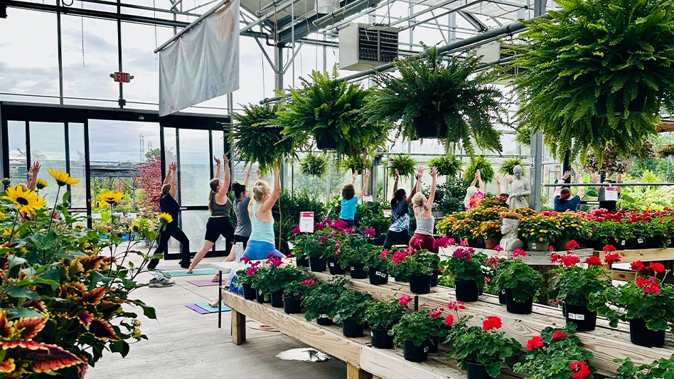 People do yoga surrounded by lots of plants in a garden center.