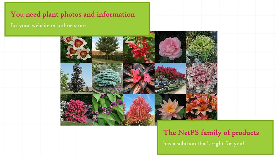 Several images of flowers are shown with text that reads You need plant photos and information for your website or online store. The NetPS family of products  has a solution that's right for you!