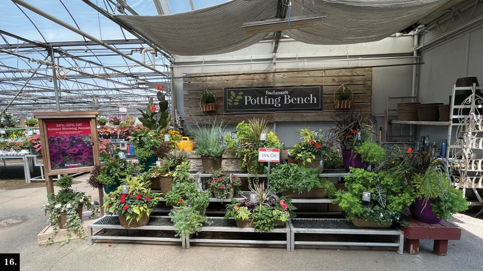 Multiple plants sit on benches in a greenhouse.