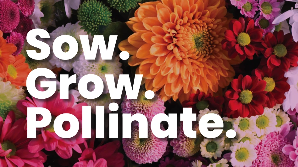 White letters read Sow. Grow. Pollinate. Behind the text are pink and orange flowers.