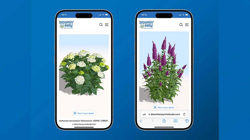 Two smartphones show images of plants. The phones are on a blue background.