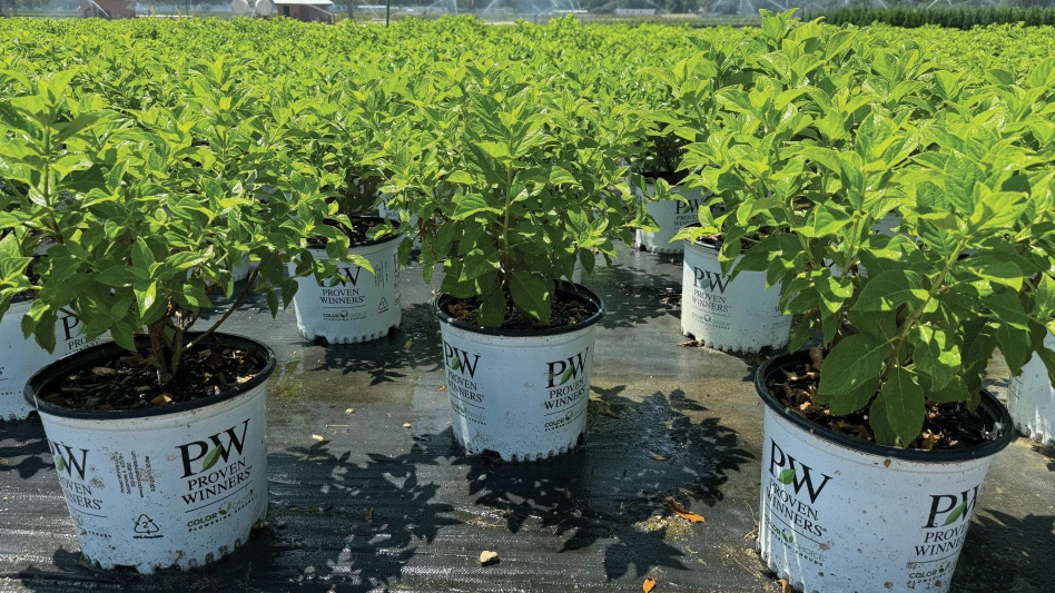 weed-control-feature