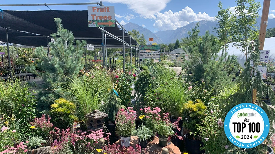 Many potted plants sit in an outdoor display at a garden center.