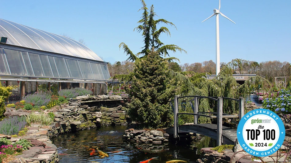 A landscape photo, with a greenhouse to the left; a large green pine tree, small pond with a bridge surrounded by flowers and stones in the middle; and a wind turbine on the right.