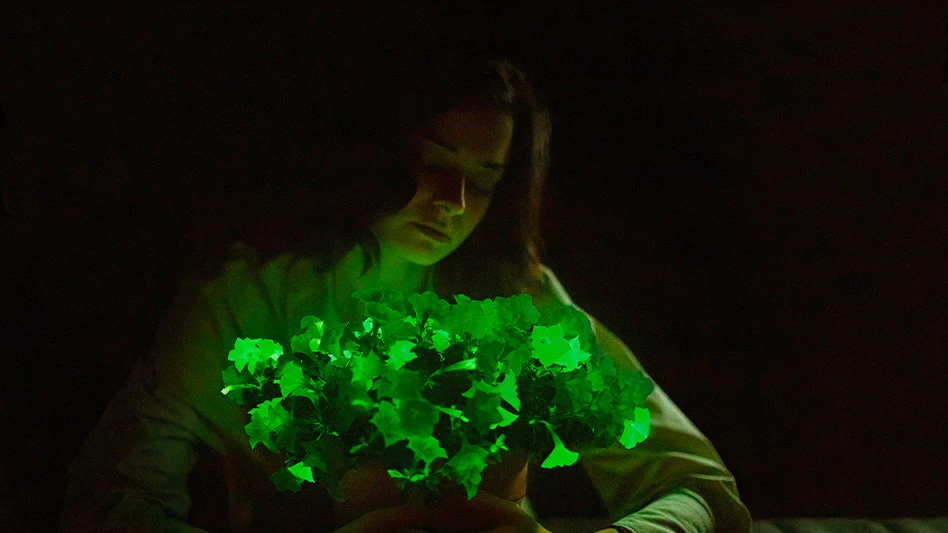 A woman with long hair hugs glowing bright green flowers in a dark room.