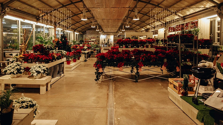 A photo of a garden center full of red and white poinsettias on shelves and tables, with white string lights hanging from the ceiling.