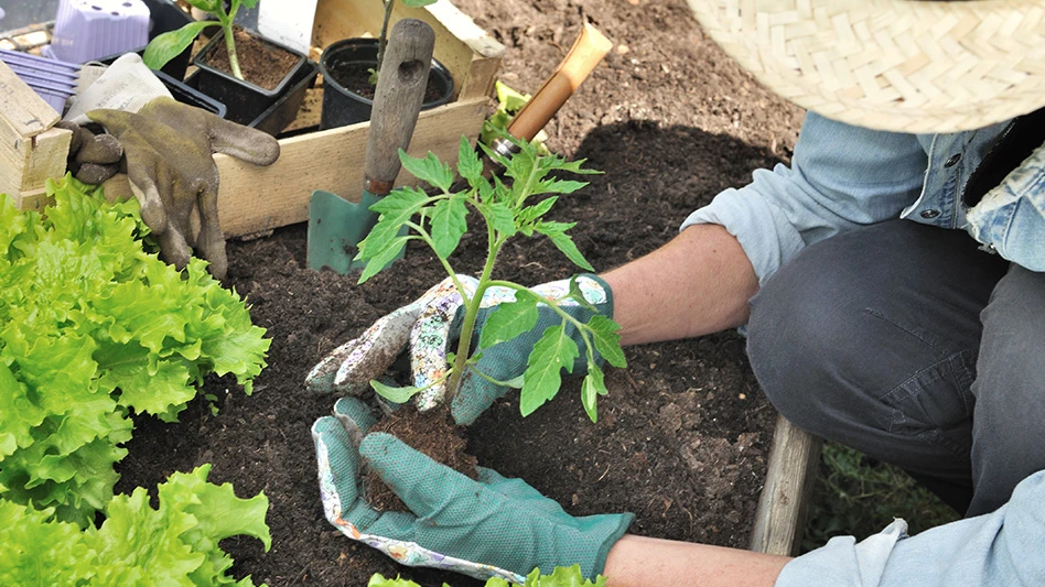 A person wearing a light blue denim shirt, black pants, straw hat and green gloves plants a small green seedling in brown soil. Their face is not visible. A wooden box of gardening tools sits next to them.