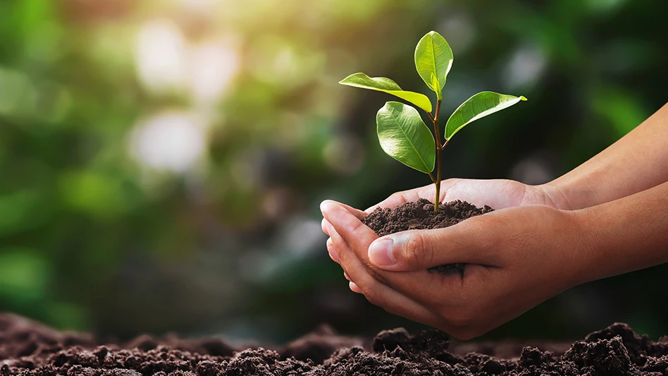 A pair of hands holds a green seedling in brown soil above more brown soil.