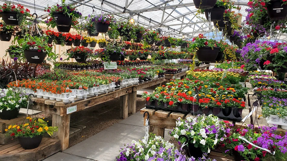 A greenhouse full of potted plants and hanging baskets of flowers.