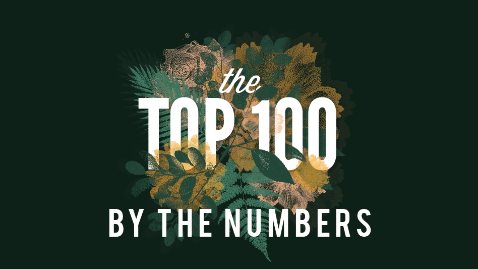 A graphic with a dark green background with a floral graphic and white text reads The Top 100 By the Numbers.