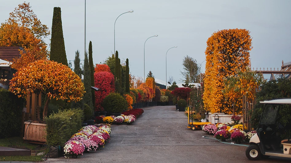A fall scene at a garden center.