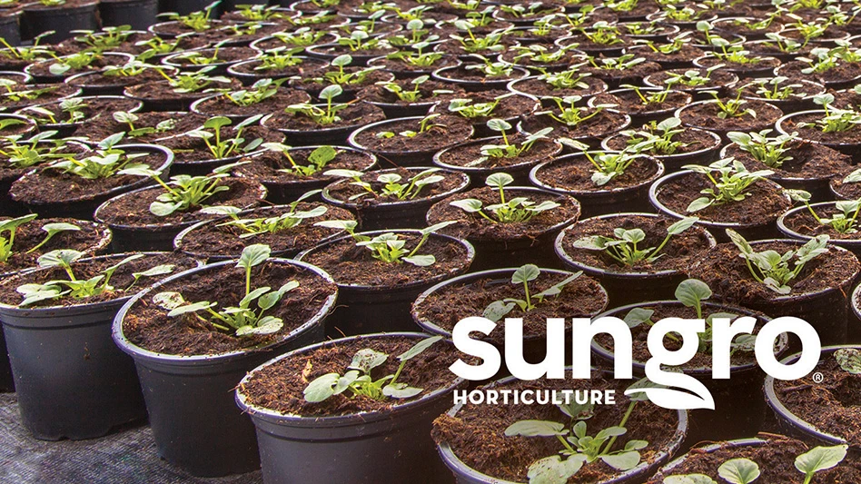 Green seedlings growing in brown soil in black plant pots. White text over the image reads Sun Gro Horticulture.