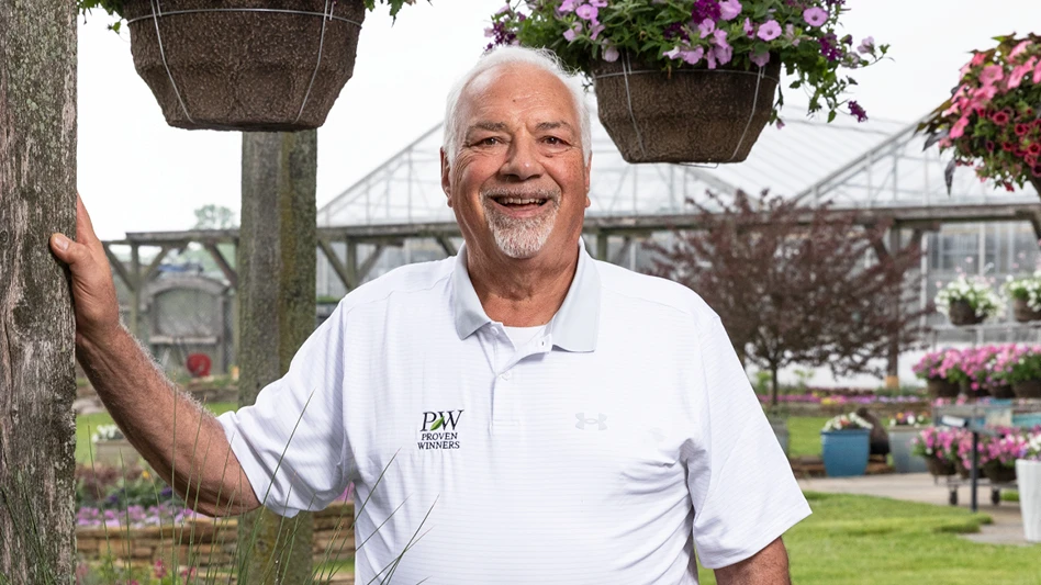 Rows of red poinsettias in a greenhouse. There are more green plants hanging from tracks near the roof.
