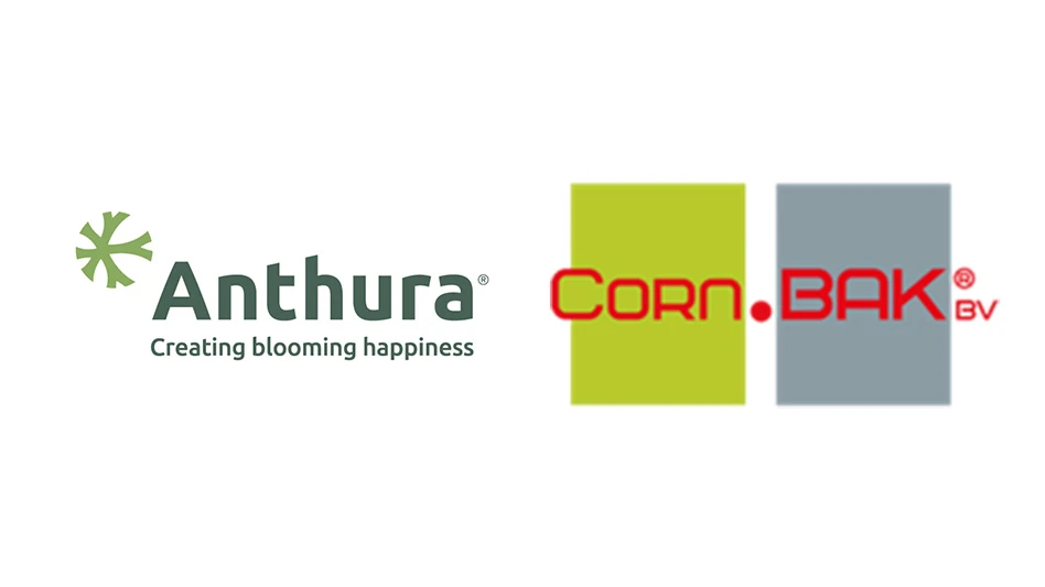 Two logos, one reading Anthura and one reading Corn. Bak.