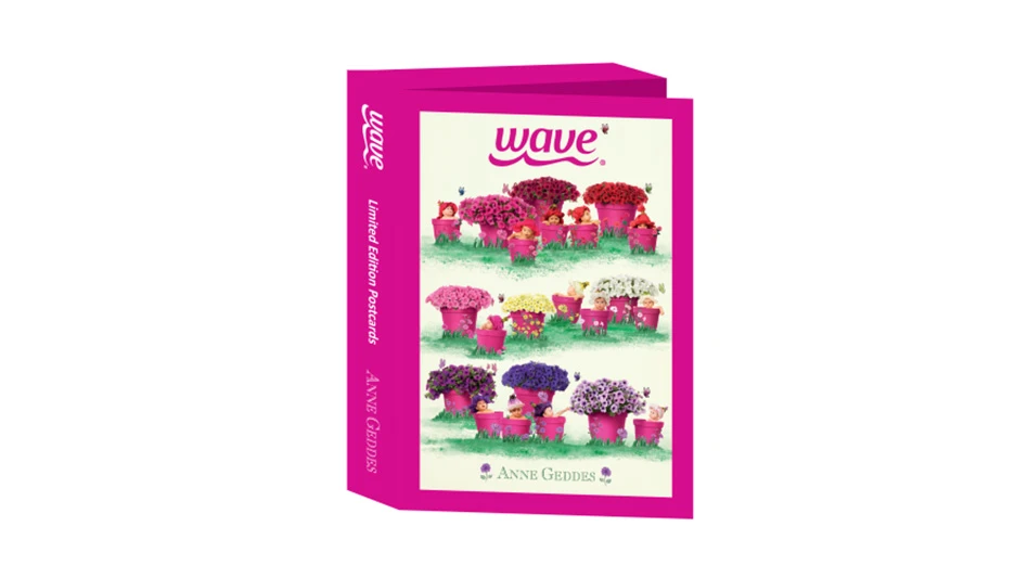 A pink and white box of postcards with flowers on the front.