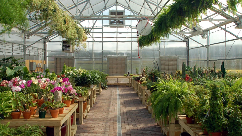 A view down the center aisle of a greenhouse that's filled with flowers and green plants.