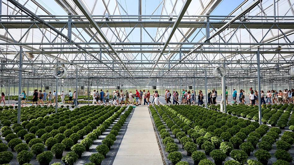 A group of people walk down a greenhouse aisle. The greenhouse is full of small, round, green plants in black pots sitting on the floor.