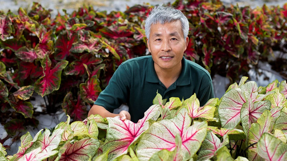 A smiling man with short gray hair and wearing a green polo shirt kneels among green and pink and red and green plants with large leaves.