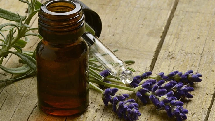 © Comugnero Silvana | Adobe Stock