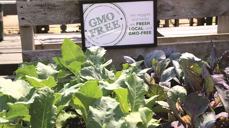 Plants with text reading "GMO Free"