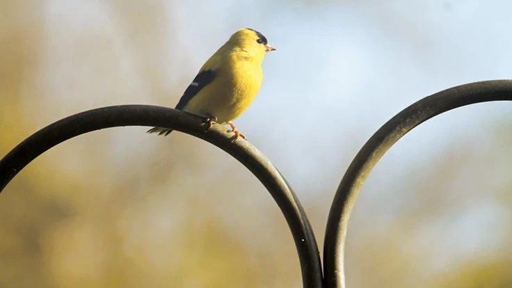 Photo courtesy of BROOKE N. BATES