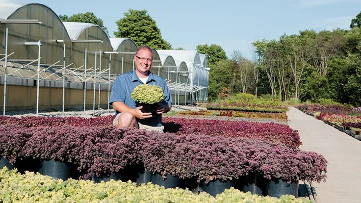 Chris Hansen, breeder and co-founder of Great Garden Plants, is fascinated with sedum, and has a robust breeding program for this group of hardy perennials.