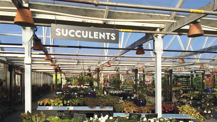 COURTESY OF MOLBAK’S