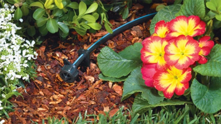 THINKSTOCKPHOTOS.COM