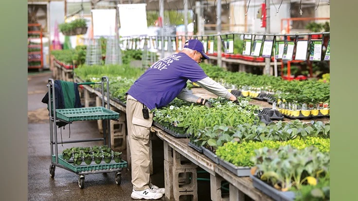 Photo courtesy of TRACY WALSH