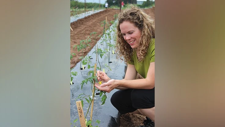 COURTESY OF VINELAND RESEARCH AND INNOVATION CENTRE