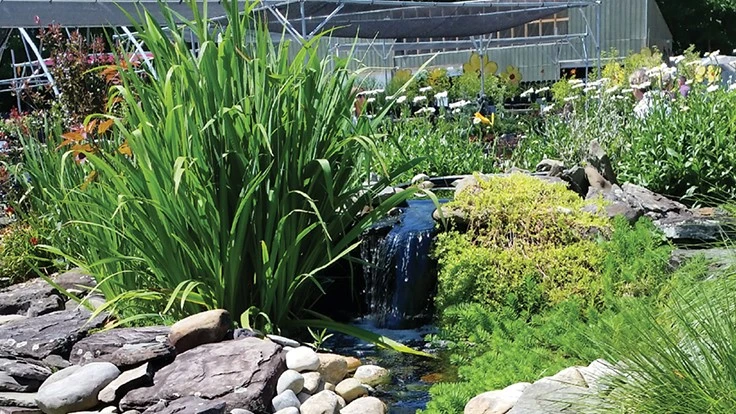 Photo courtesy of Ken Matthews Garden Center