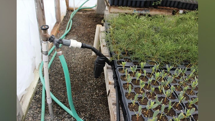 Photo courtesy of KERSTIN OUELLET