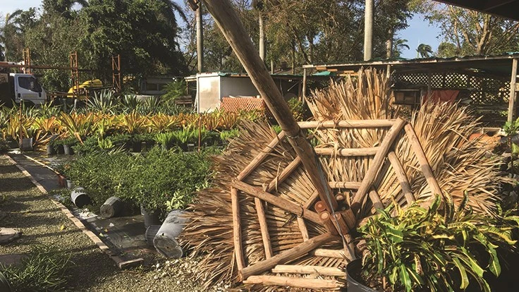 An image showing damage at a nursery including a demolished that structure