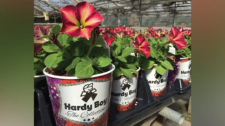 COURTESY OF WELBY GARDENS