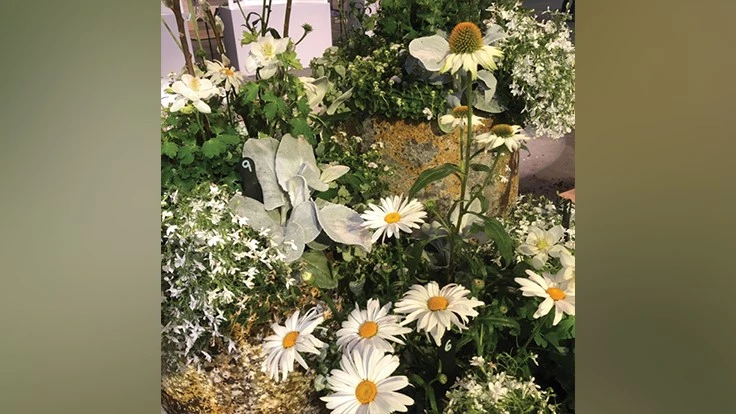 COURTESY OF MARK HIGHLAND OF ORGANIC MECHANICS