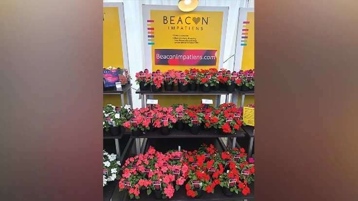 Photo courtesy of MICHELLE SIMAKIS