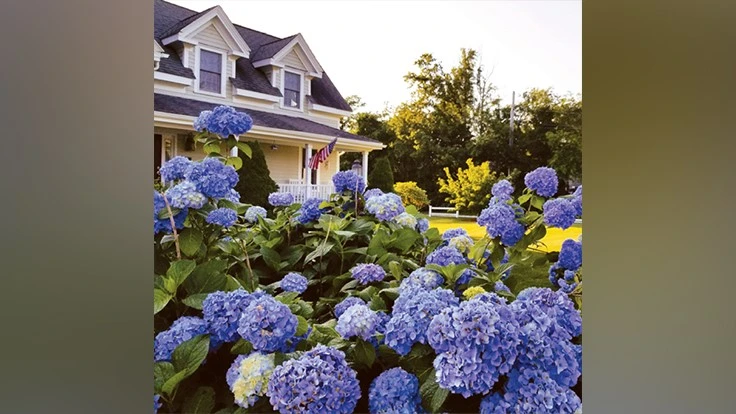 Photo courtesy of GRETA GEORGIEVA