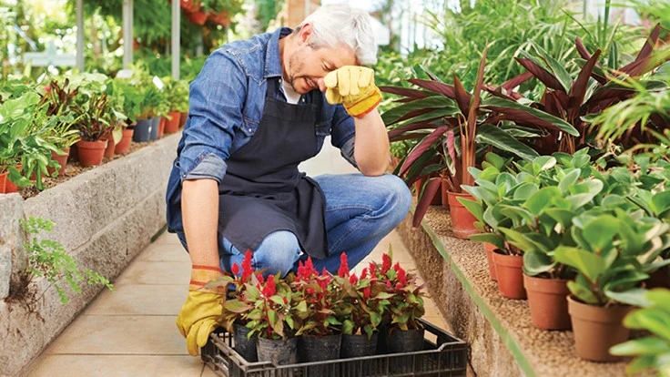 PHOTO © ROBERT KNESCHKE, ADOBE STOCK