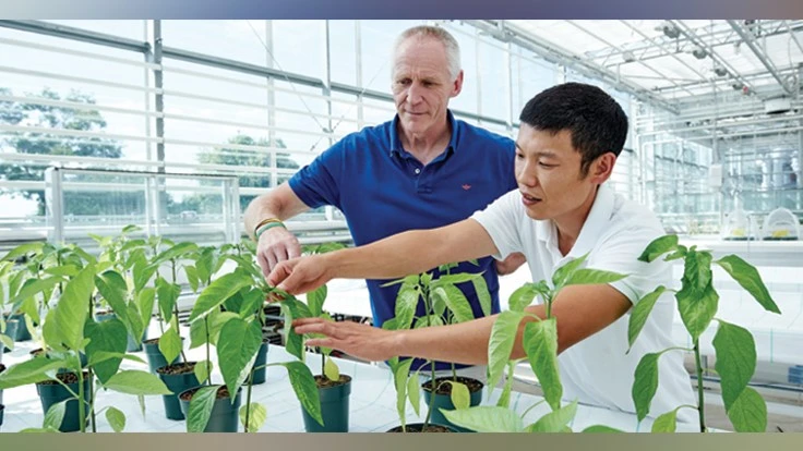 PHOTOS COURTESY OF VINELAND RESEARCH AND INNOVATION CENTRE