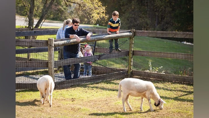 PHOTO COURTESY OF HOMESTEAD GARDENS